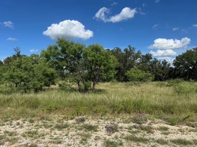 Prime Lot 463 Near Lake Brownwood & The Hideout Golf Club - image 1