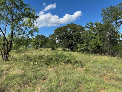 Prime Lot 463 Near Lake Brownwood & The Hideout Golf Club - image 10
