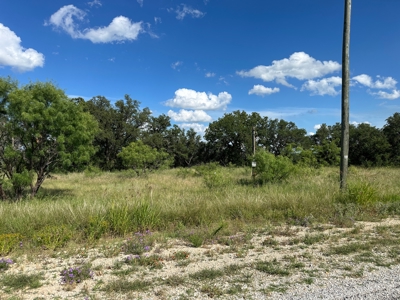 Prime Lot 463 Near Lake Brownwood & The Hideout Golf Club - image 2
