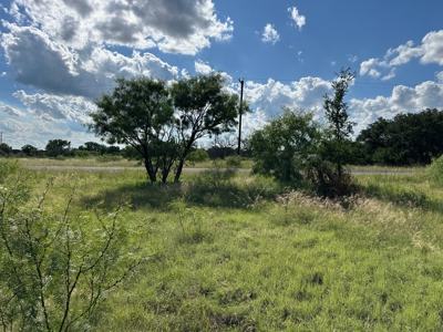Prime Lot 463 Near Lake Brownwood & The Hideout Golf Club - image 6