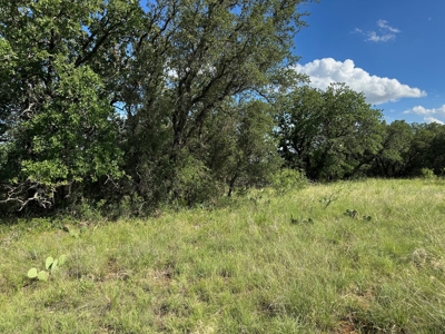 Prime Lot 463 Near Lake Brownwood & The Hideout Golf Club - image 8
