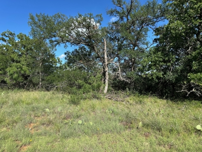 Prime Lot 463 Near Lake Brownwood & The Hideout Golf Club - image 9