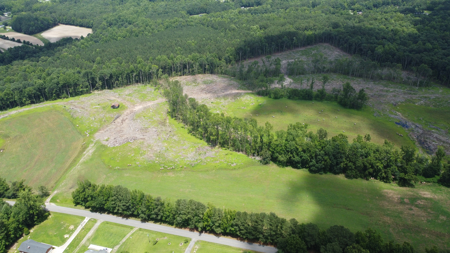 Land, Wildlife & Road Frontage in Nash County - image 4