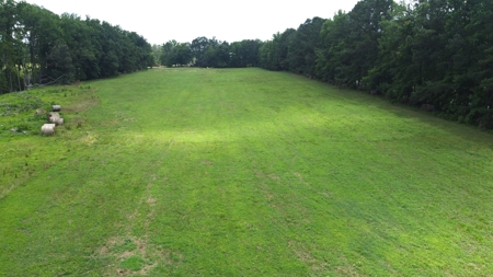 Land, Wildlife & Road Frontage in Nash County - image 17