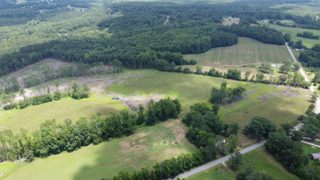 Land, Wildlife & Road Frontage in Nash County - image 6