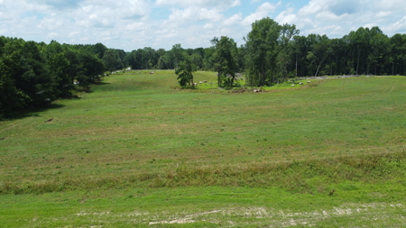Land, Wildlife & Road Frontage in Nash County - image 18