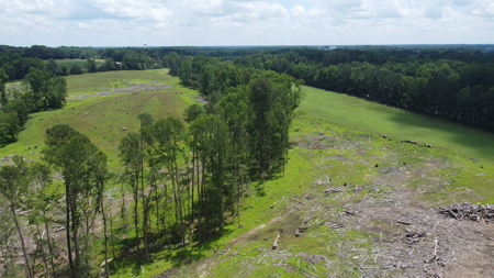 Land, Wildlife & Road Frontage in Nash County - image 15
