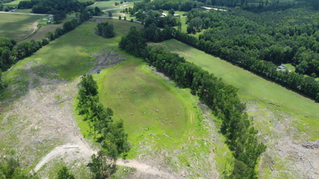 Land, Wildlife & Road Frontage in Nash County - image 11