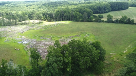 Land, Wildlife & Road Frontage in Nash County - image 23