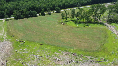 Land, Wildlife & Road Frontage in Nash County - image 13