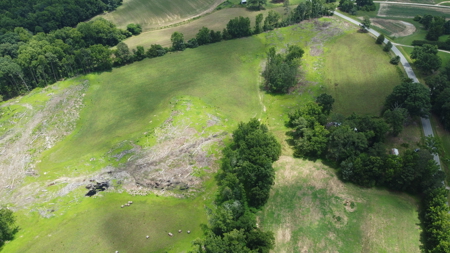 Land, Wildlife & Road Frontage in Nash County - image 9