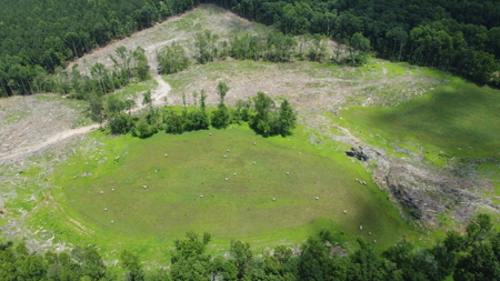 Land, Wildlife & Road Frontage in Nash County - image 8