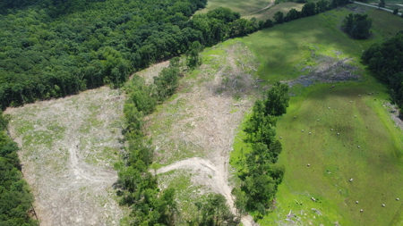 Land, Wildlife & Road Frontage in Nash County - image 10