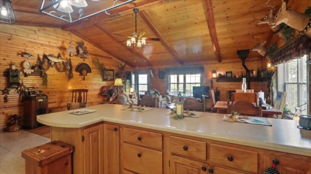 Private Ozarks Retreat on 42 Acres Bordering Conservation Land - image 5