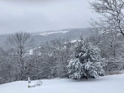 Private Ozarks Retreat on 42 Acres Bordering Conservation Land - image 36