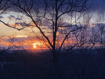 Private Ozarks Retreat on 42 Acres Bordering Conservation Land - image 38