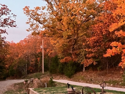 Private Ozarks Retreat on 42 Acres Bordering Conservation Land - image 39