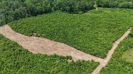 Small Hunting Tract FOR SALE in Amite County, MS - image 1