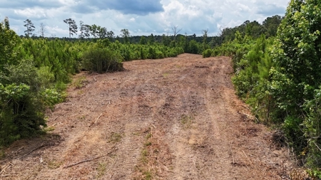 Small Hunting Tract FOR SALE in Amite County, MS - image 10