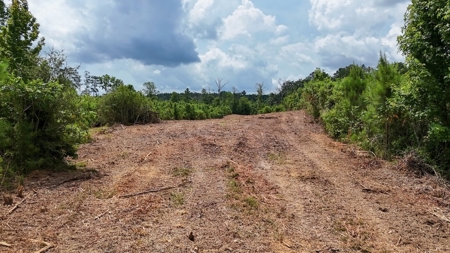 Small Hunting Tract FOR SALE in Amite County, MS - image 11