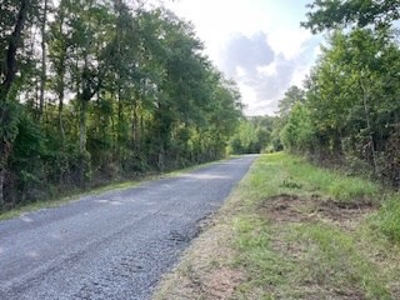 Small Hunting Tract FOR SALE in Amite County, MS - image 3