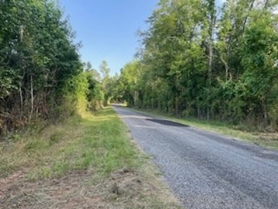 Small Hunting Tract FOR SALE in Amite County, MS - image 2