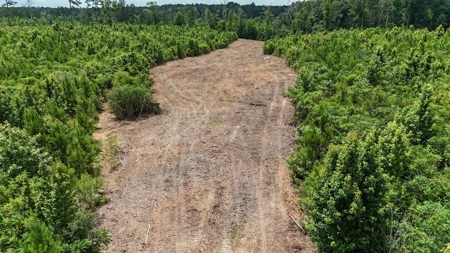 Small Hunting Tract FOR SALE in Amite County, MS - image 9