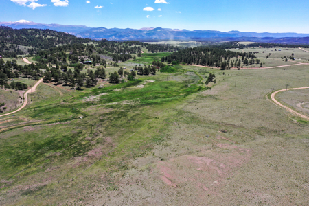 Fenced Land for Sale in Guffey, Colorado – Mountain Views - image 19