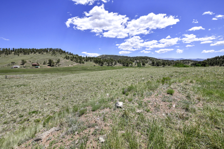Fenced Land for Sale in Guffey, Colorado – Mountain Views - image 11