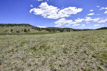 Fenced Land for Sale in Guffey, Colorado – Mountain Views - image 9