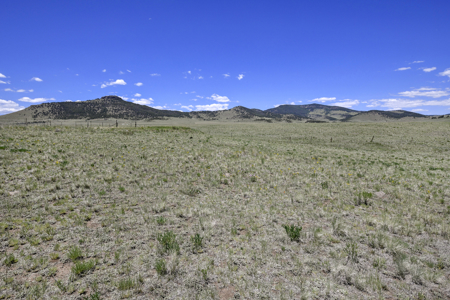 Fenced Land for Sale in Guffey, Colorado – Mountain Views - image 3