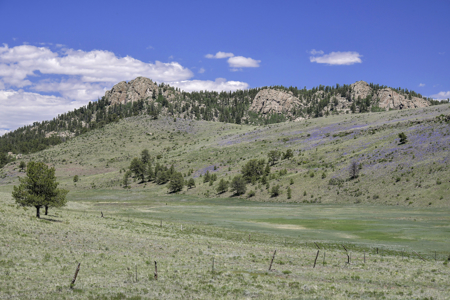 Fenced Land for Sale in Guffey, Colorado – Mountain Views - image 15