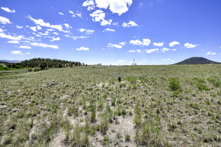 Fenced Land for Sale in Guffey, Colorado – Mountain Views - image 7