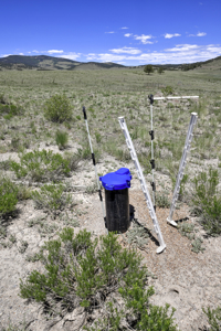 Fenced Land for Sale in Guffey, Colorado – Mountain Views - image 5