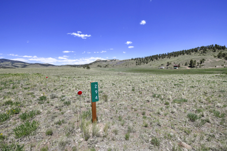 Fenced Land for Sale in Guffey, Colorado – Mountain Views - image 12