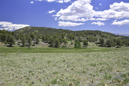 Fenced Land for Sale in Guffey, Colorado – Mountain Views - image 16