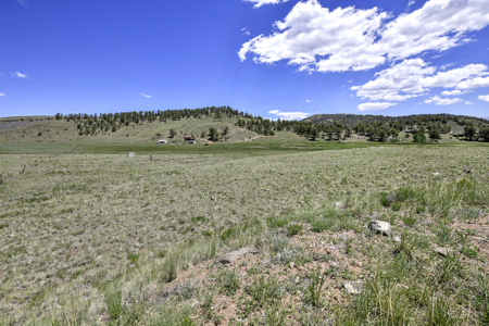 Fenced Land for Sale in Guffey, Colorado – Mountain Views - image 10
