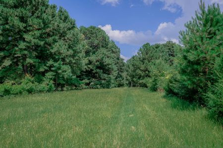 Lrg hm w/  Bonus rm 10.49 ac. 60x40 Shop Horse Walker Pond - image 32