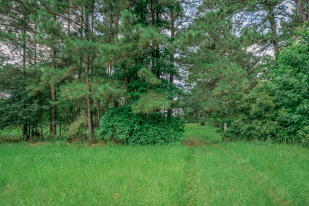 Lrg hm w/  Bonus rm 10.49 ac. 60x40 Shop Horse Walker Pond - image 37