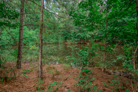 Lrg hm w/  Bonus rm 10.49 ac. 60x40 Shop Horse Walker Pond - image 34