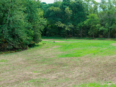 The Hidden Gem of North Missouri: A Legacy Estate Like No Other - image 44