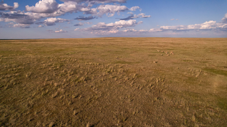 Pintail Flatt Grazing Unit & New Home- Dodson, Montana - image 34