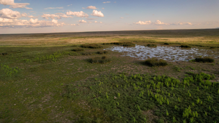 Pintail Flatt Grazing Unit & New Home- Dodson, Montana - image 37