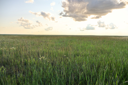 Pintail Flatt Grazing Unit & New Home- Dodson, Montana - image 20