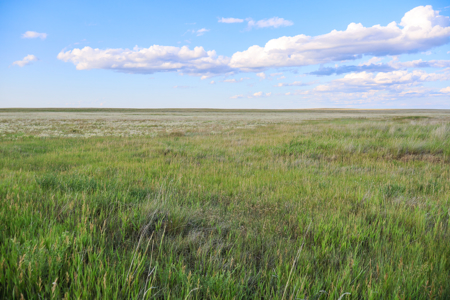 Pintail Flatt Grazing Unit & New Home- Dodson, Montana - image 12