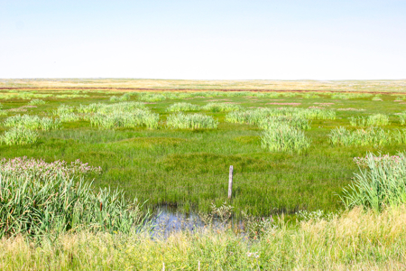 Pintail Flatt Grazing Unit & New Home- Dodson, Montana - image 44