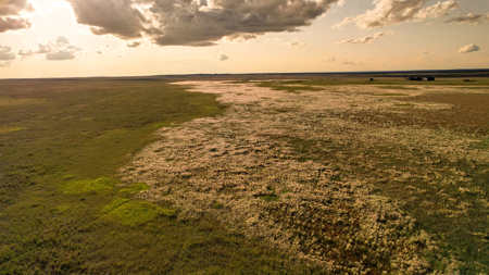 Pintail Flatt Grazing Unit & New Home- Dodson, Montana - image 21