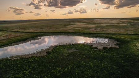 Pintail Flatt Grazing Unit & New Home- Dodson, Montana - image 36