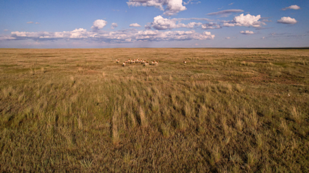 Pintail Flatt Grazing Unit & New Home- Dodson, Montana - image 35