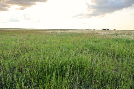 Pintail Flatt Grazing Unit & New Home- Dodson, Montana - image 18